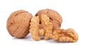 wallnut and a cracked walnut isolated on the white background Royalty Free Stock Photo