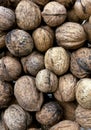 Wallnut pile. Food and ingredients. Royalty Free Stock Photo
