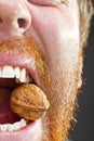 Wallnut in teeth Royalty Free Stock Photo