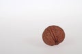 Wallnut on white background