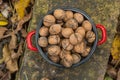 Wallnuts in a red metal bowl Royalty Free Stock Photo