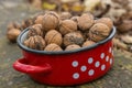 Wallnuts in a red metal bowl Royalty Free Stock Photo