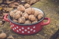 Wallnuts in a red metal bowl Royalty Free Stock Photo