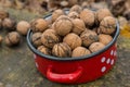 Wallnuts in a red metal bowl Royalty Free Stock Photo