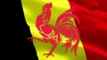 Wallonia Community flag Closeup 1080p Full HD 1920X1080 footage video waving in wind. FrenchÃ¢â¬Å½ 3d Wallonia Community flag waving.