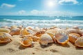 Wallpaper,close up of many seashells, sea shell on the sandy beach, with ocean in the background Royalty Free Stock Photo