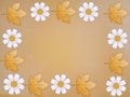 Wallpaper daisy flower motif, yellow background