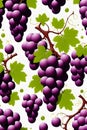 Wallpaper design pattern of fresh grapes fruit on white background, cartoon style, ultra HD, printable