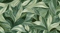 Green and White Wallpaper With Abundant Leaves Royalty Free Stock Photo