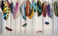 3d wallpaper bird feathers in many colors on water background