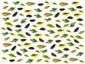 wallpaper of multi color caricature leaves on white background