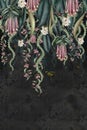 Wallpaper pattern Tropical plants and flowers hanging climbing birds background black vintage painting. Royalty Free Stock Photo