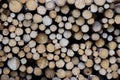 Wallpaper: pile of carefully stacked logs