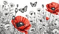 Wallpaper red and black white and black and white watercolor poppies on white background. Watercolor illustration Royalty Free Stock Photo