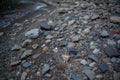 Wallpaper of river stones and clean, clear water of the river Royalty Free Stock Photo