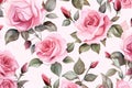 Wallpaper rose flower pattern seamless watercolor leaf background floral pink design Royalty Free Stock Photo
