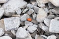Wallpaper of various gray and orange rocks of different sizes and shapes on the sea coast