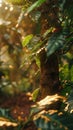 Wallpaper where you can see cocoa trees high detail 8k global illumination