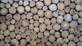 Wallpaper of wood logs Royalty Free Stock Photo