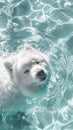 Wallpapers, in the style of hyper-realistic water simplified dog figures Samoyed white and aquamarine anime