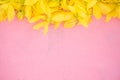 Wallpeper close up nature Yellow flower on pink background