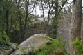 Walls Of The Castle Of The Moors, Medieval Castle Of XII Century With Views To The Sea In Sintra. Nature, architecture, history,