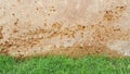 walls covered with grass Royalty Free Stock Photo