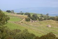 Walls, fields, sheep, railway, countryside Cumbria