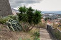 At the walls of the fortress of San Juan Baptista do Pico, Funchal, Madeira