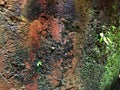 the walls of the house made of cement with a rough texture