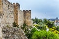 The walls of Jerusalem sprouted in tufts of grass Royalty Free Stock Photo