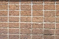 Walls made of laterite stone Royalty Free Stock Photo