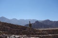 Walls of pucara de tilcara / pre-Inca fortification - jujuy, argentina