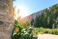 Walls of Rhodes castle and flowers with sun rays in Rhodes town