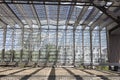 Walls and roof of glass of the modern Rotterdam Central Station