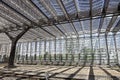 Walls and roof of glass of the modern Rotterdam Central Station