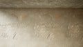 Walls of a shell in high resolution - 3D rendering