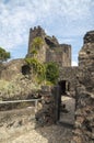 Walls and tower of Norman castle Aci Castello with tree inside near Catania, Sicilia, Italy Royalty Free Stock Photo