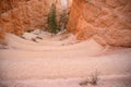 Wallstreet in Bryce Canyon National