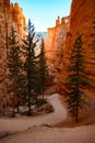 Wallstreet in Bryce Canyon National Royalty Free Stock Photo