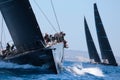 Wally class regatta in mallorca