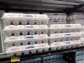 Walmart grocery store interior large egglands best eggs close up and prices