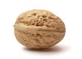 Walnut 1 Royalty Free Stock Photo