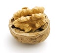 Walnut Royalty Free Stock Photo
