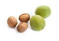 Walnut Royalty Free Stock Photo