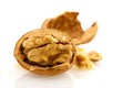 Walnut