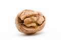 Walnut Royalty Free Stock Photo