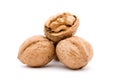 Walnut Royalty Free Stock Photo
