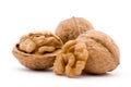 Walnut Royalty Free Stock Photo