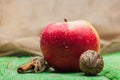 Walnut apple and cinnamon on green wood Royalty Free Stock Photo